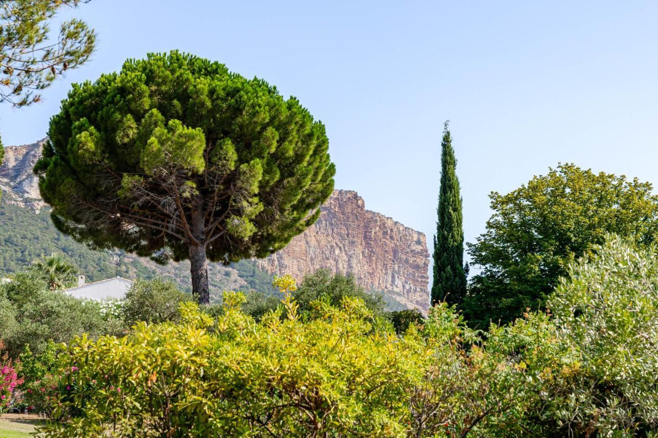 Le Nadadou Par Dodo A Cassis Lägenhet Exteriör bild